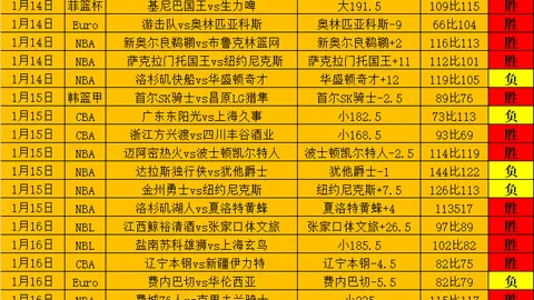 国青顶级中锋即将加盟广东队，杜锋迎来升级版任骏飞，王洪泽实力耀眼_深圳